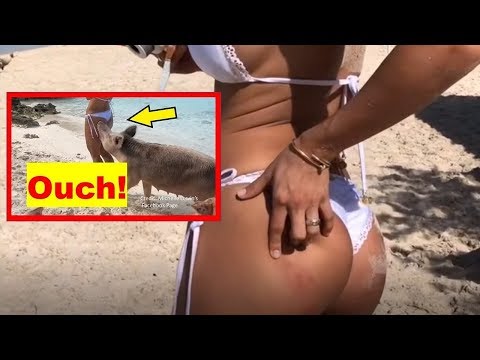 Pig Beach Fail for Michelle Lewin in the Bahamas! Tips for Sailing Crews Visiting Big Majors Spot