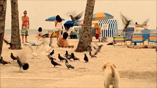 Marley & Me: The Puppy Years (2011) - Trailer