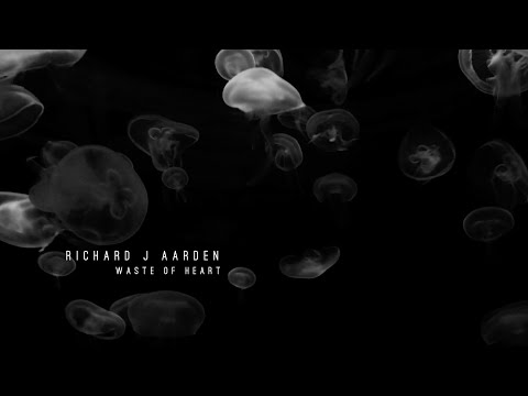 Richard J Aarden - Waste of heart