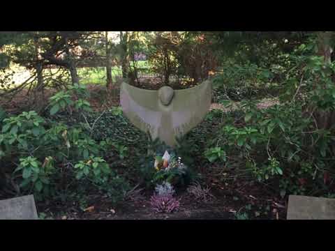 Morgenglanz der Ewigkeit ( EG 450)