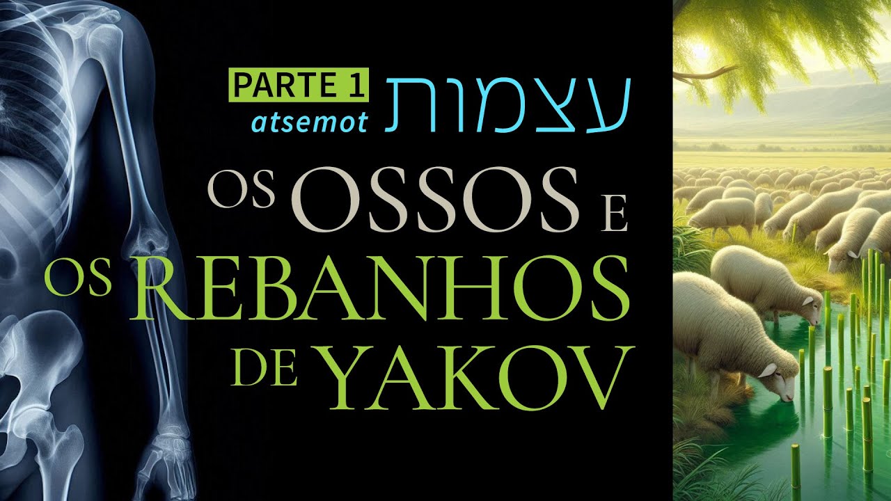 Os Ossos (atsemot) e os Rebanhos de Jacó (Yakov) | Segredos do Hebraico bíblico