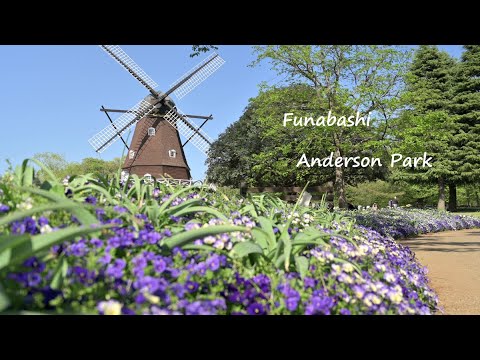 【Japan travel guide#3】 Chiba (3) Funabashi Anderson Park, Hiyodorizaka Slope (Nikon Z6, DJI Pocket2)