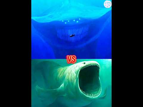 el Gran maja vs the bloop°mosasaurus°anger fish°titanoboa°blue whale°giant frog°hippocampus#shorts..