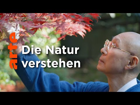 Die Natur und Wir - Eine Kunstgeschichte (2/3) | Doku HD | ARTE