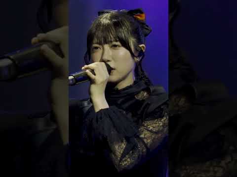 ♪ Wednesday Live ver.  #ringwanderung #live  #idol