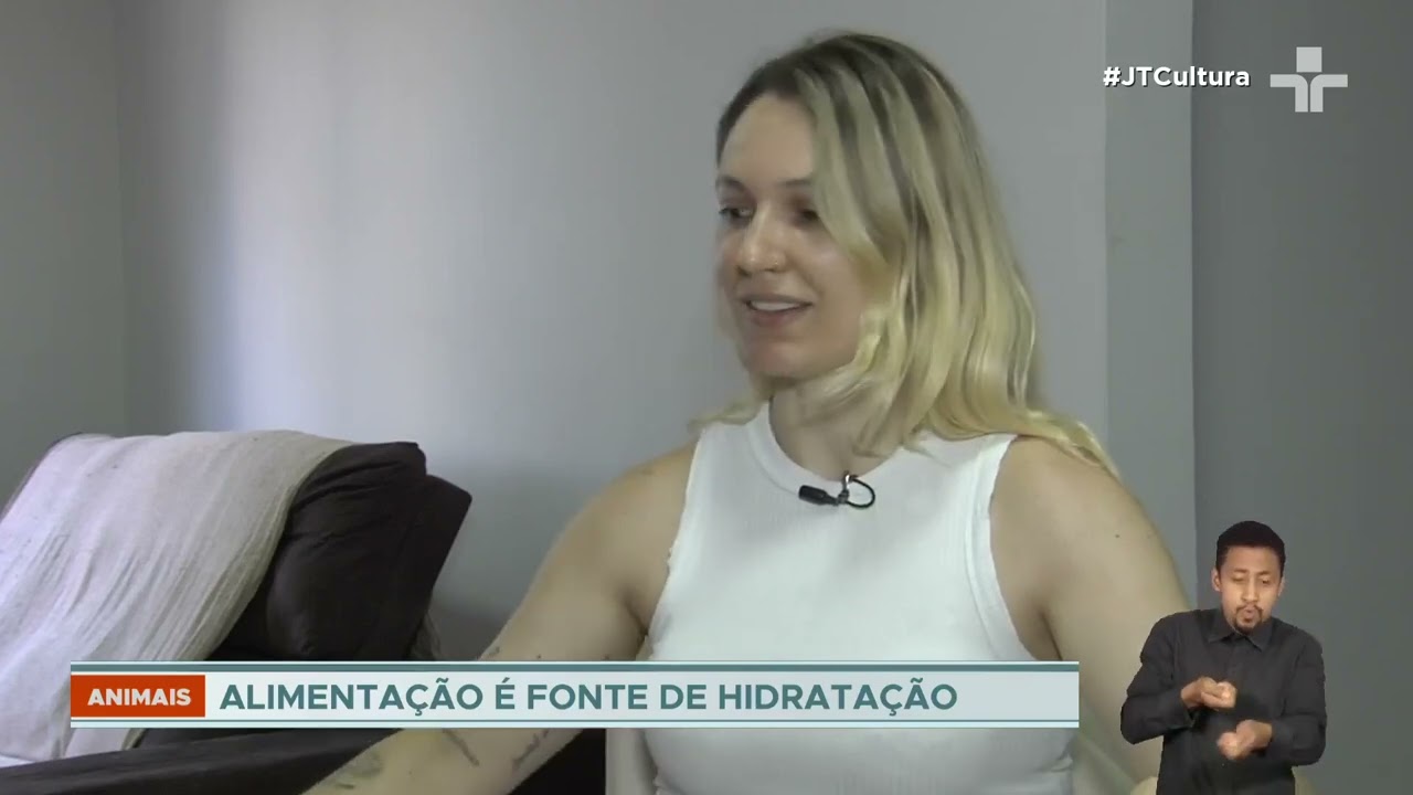 Confira dicas de cuidados com os animais de estimação para ajudá-los no calor intenso