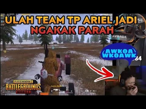 Ariel Noah Ngakak di Akhir Zona With Team The Pillars Esport - Pubg Mobile