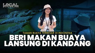 Liburan Seru dengan Beri Makan Buaya Muara Langsung di Taman Buaya Asam Kobang Kota Medan