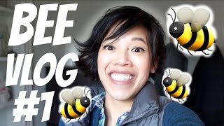 BEE VLOG #1 | setting up frames &amp; hive, making syrup