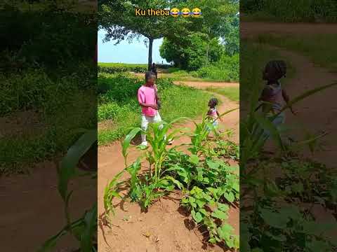 Ulendo wakutheba😂😂