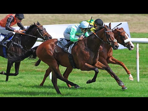 Baden-Baden: Stall Siepenblick 2.8 - Steher Cup 2025 Winner: Kämpfer