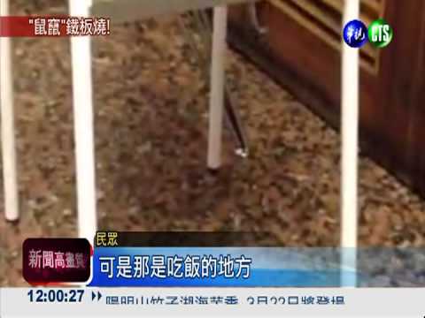 鐵板燒店鼠輩橫行 還沒吃就想吐!