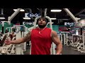 Flye on PecDec Machine - How to Grow Chest