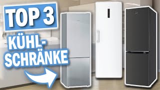 Beste FREISTEHENDE KÜHLSCHRÄNKE 2023 | Top 3 Freistehende Kühlschränke