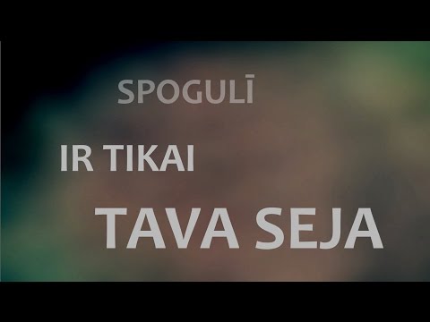 Reinis Err - Sava seja (Lyric Video)
