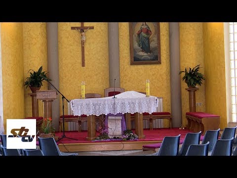 SBTV - DNEVNIK - KAKO FUNKCIONIRAJU BRODSKE ŽUPE U PANDEMIJI KORONAVIRUSA - 27.03.2020.