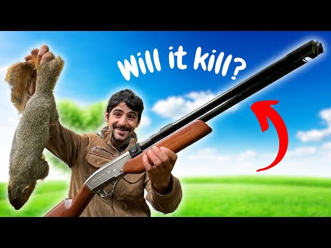 The Most Powerful Air Shotgun For Hunting