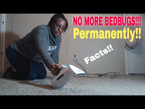 HOW TO GET RID OF BEDBUGS | PERMANENTLY | Facts!