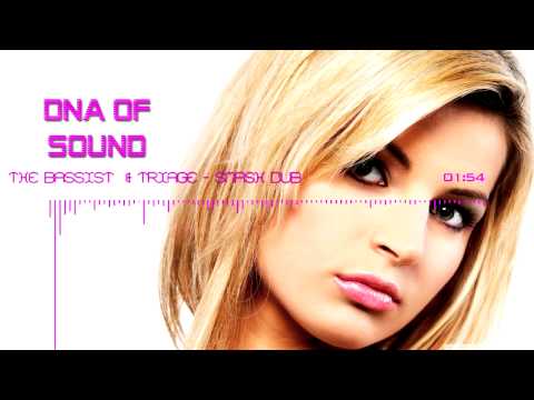 The Bassist  & Triage - Smash Dub