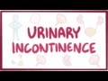 Urinary Incontinence Causes Symptoms Diagnosis Treatment Pathology