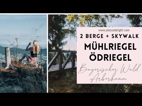 Wandern Bayerischer Wald am Arberkamm mit Laufsteg: Mühlriegel, Ödriegel und Skywalk Arrach