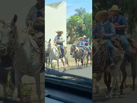 Tropeiros em Guaimbê- SP