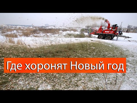 Где в Воронеже хоронят Новый год
