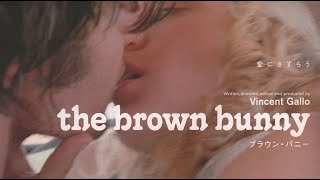 the brown bunny by vincent gallo