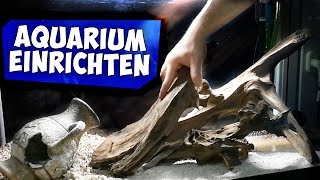 ÜBERGANGSAQUARIUM HARDSCAPE EINRICHTEN MIT TIPPS | Aqua Update