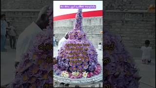 Download lagu දැවෙන සිත් නිවන මග එන්න ඔබත්😲🤔💐🙏 The soul-soothing Ruwanweli Maha Seya🙏#ruwanweliseya #travel mp3