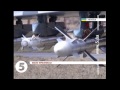 Винищувачі МІГ-29 провели навчальні польоти - Івано-Франківськ 