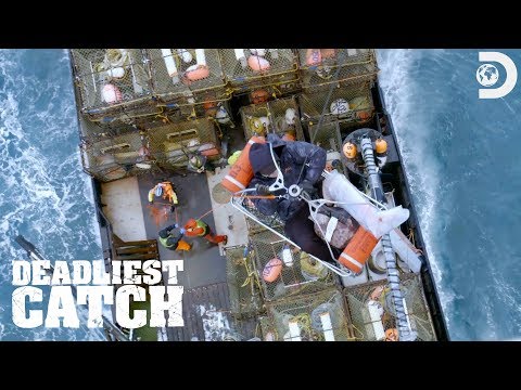 海岸警衛隊營救受傷的甲板工人｜最致命的捕撈 (Coast Guard Rescues Injured Deckhand | Deadliest Catch)