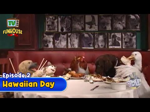 TV Funhouse - Hawaiian Day | S1E02