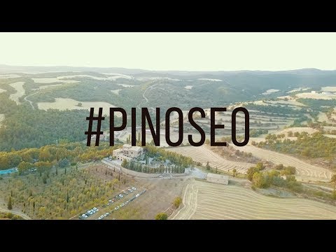 Aftermovie PINOSEO 2017