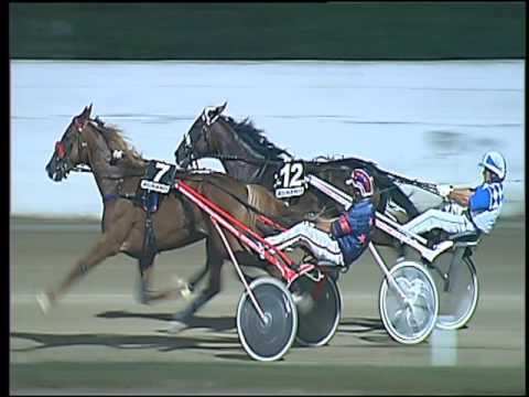 Trotto 23/07/2016 - 5° corsa