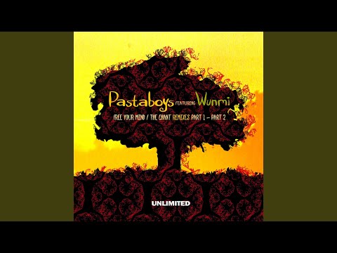 Free your Mind (feat. Wunm) (Sicania Soul Vocal)