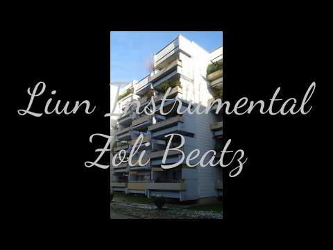 55. Liun Instrumental / Zoli Beatz - Slow Chill Beat produced by Ugur & Zett