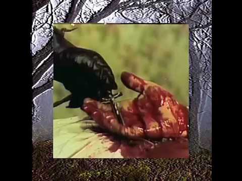 $UICIDEBOY$ × Friday The 13th (Prod. Smkie Smk)