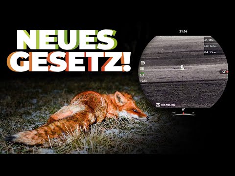 Fuchsjagd mit Wärmebildkamera - Ansitz am Luderplatz! #nordjagd