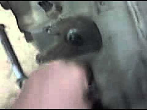 transfer case stretch issue np233