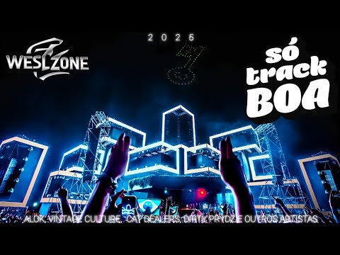 SÓ TRACK BOA 2025 | SET MIX ALOK, VINTAGE CULTURE, CAT DEALERS, DIRTY PRYDZ & WESLZONE.