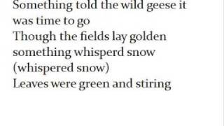 Something Told the Wild Geese