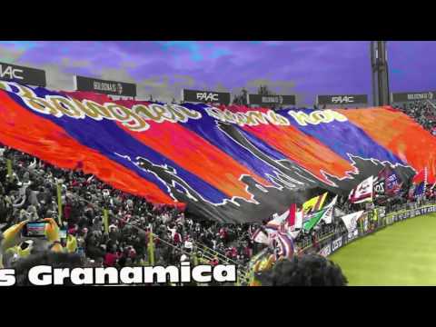 Settore Giovanile BFC 2004 vs Granamica -23.02.2017