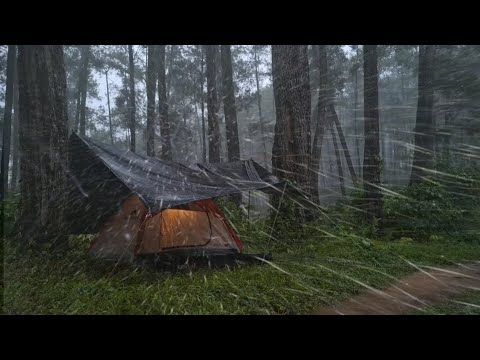 Crazy Thunderstorm! SOLO CAMPING IN HEAVY RAIN THUNDERSTORM⛈️⛈️