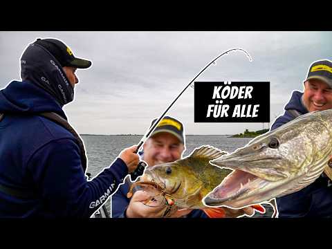 Unfassbare Raubfisch-Action! Dieser Köder fängt ALLES – Hecht, Barsch & Zander! Gewinnspiel 🎁