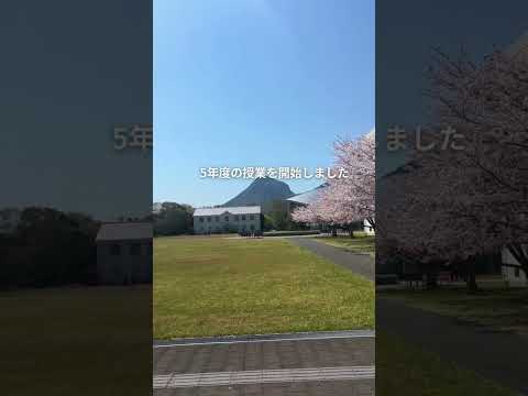【キャンパス風景】2025年春　#shorts