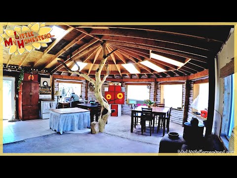 Ceiling Take Down & Top of Cabin Walls | Earthbag Kitchen, Bath & Cabin | Weekly Peek Ep157