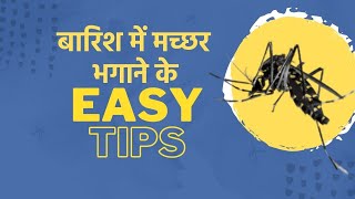 World Mosquito Day 2020: मच्छर भगाने के सबसे कारगर और आसान उपाय | Home Remedies For Mosquito