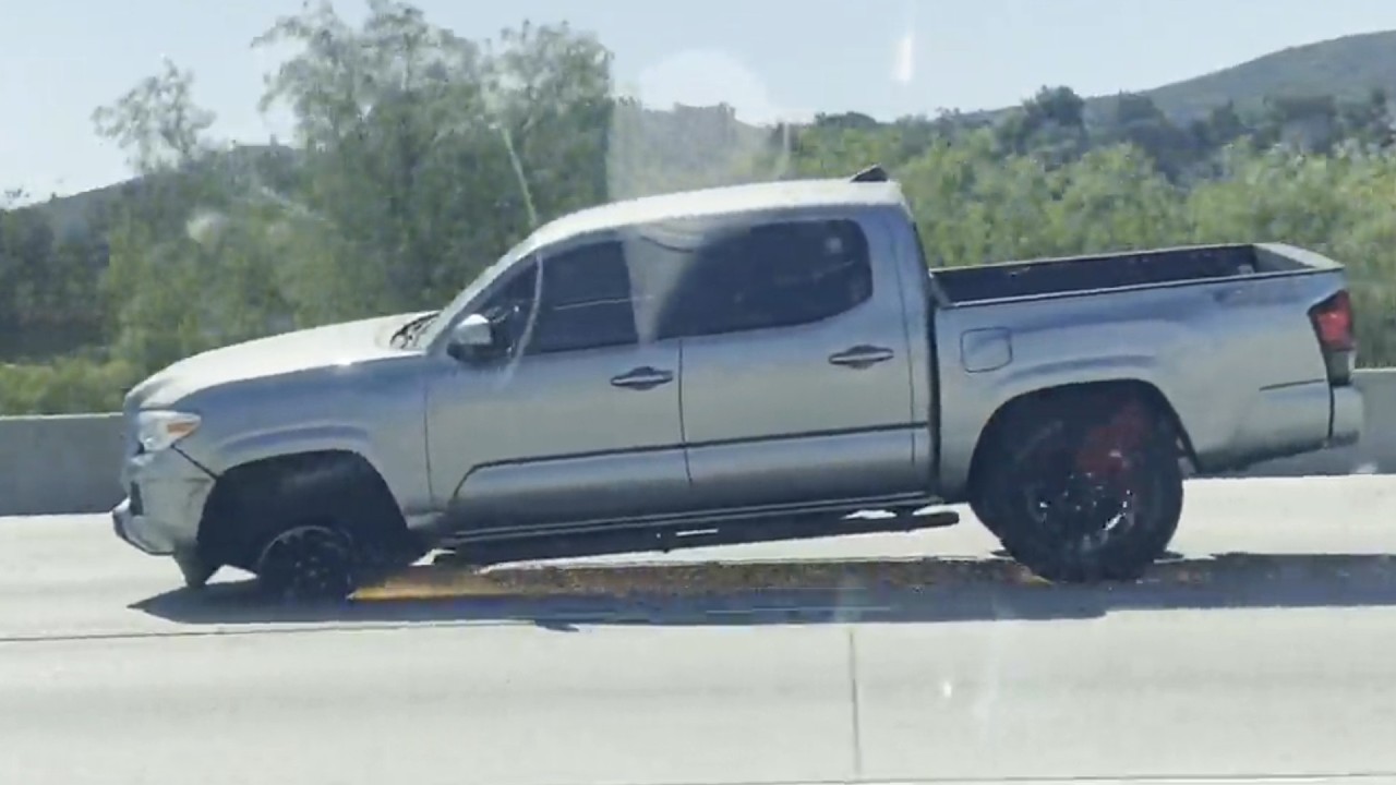 Funny Florida Fails! 🐊 Sunshine State Stupidity