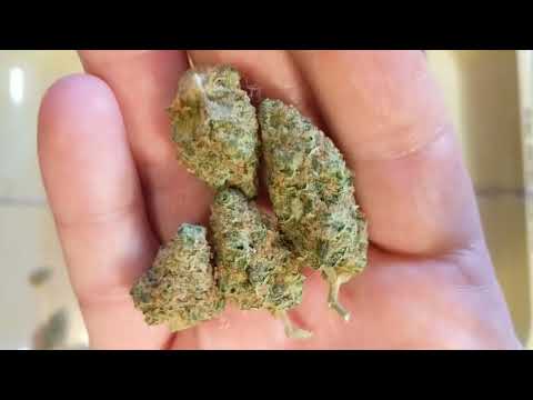 Green Wildfire Strain Trulieve